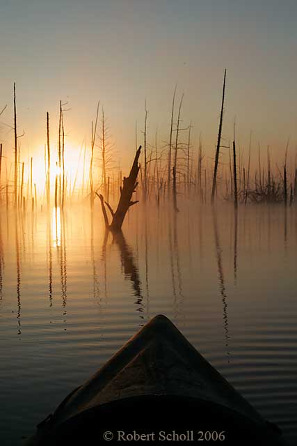 Floodwater Sunrise from Kayak