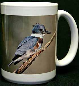 Belted Kingfisher coffee mug