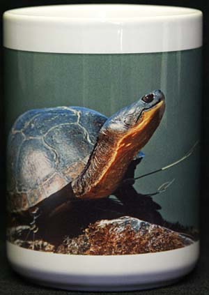 Blandings Turtle coffee mug 