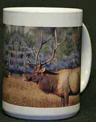 Bull Elk coffee mug cup