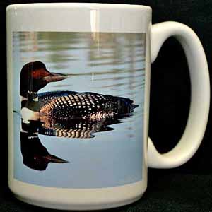 Common Loon coffee mug