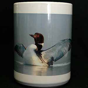 Common Loon coffee mug