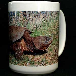Snapping Turtle coffee mug 