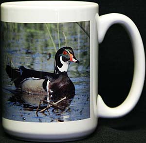 Wood Duck coffee mug 